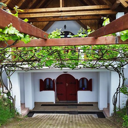 Klara Vendeghaz Villa Badacsonyörs Exteriör bild